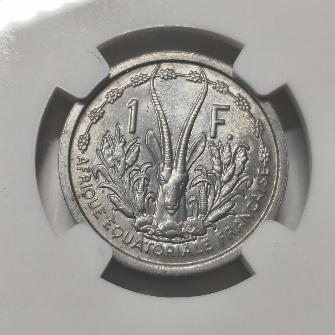 老蟹的宝藏🏴‍☠️ IV NGC MS64 1948年法属赤道非洲1法郎