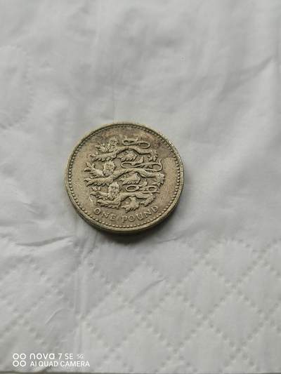 外国硬币 - 1英镑