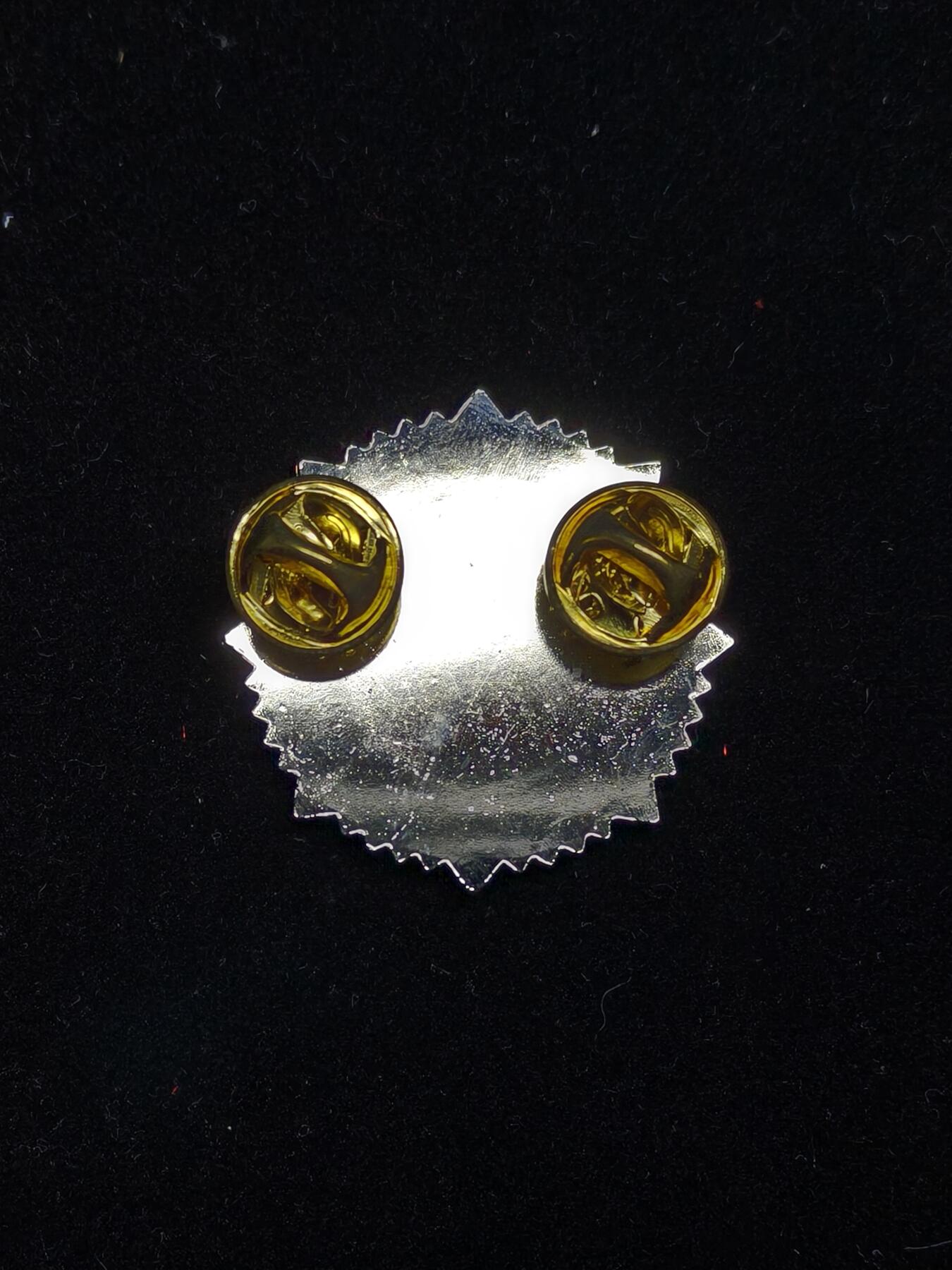 铭记历史 勿忘国耻 抗战胜利80周年精品专场 第二场 台湾八八救灾纪念