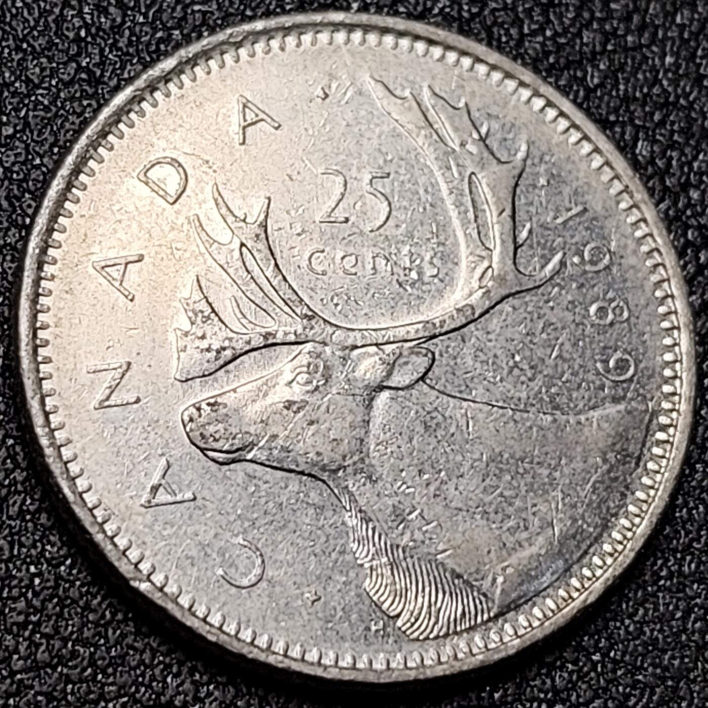 泉币菌-第139场-精品福利场（之前场次29日、30日发货，敬请谅解） 。