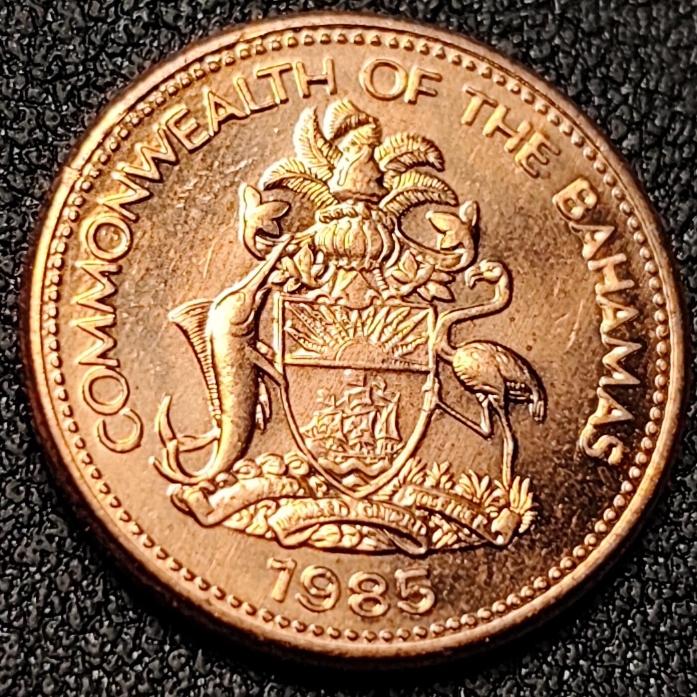 泉币菌-第140场-精品福利场（之前场次29日、30日发货，敬请谅解） 。