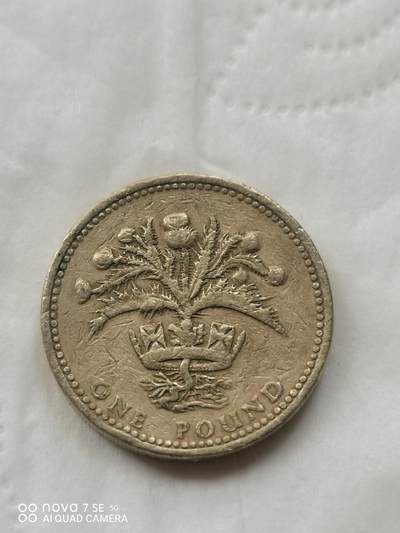 外国硬币 - 1989年1英镑