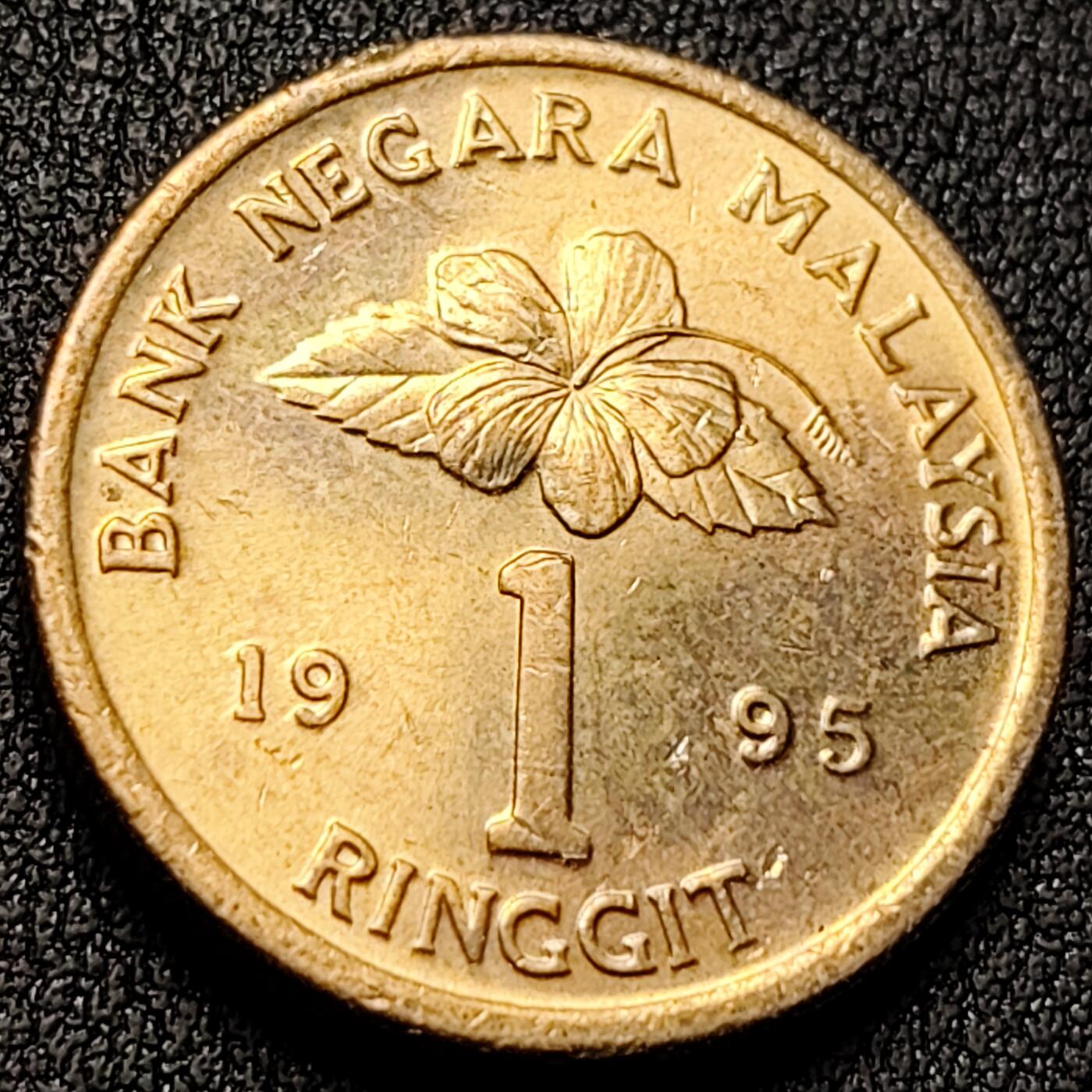 泉币菌-第140场-精品福利场（之前场次29日、30日发货，敬请谅解） 。