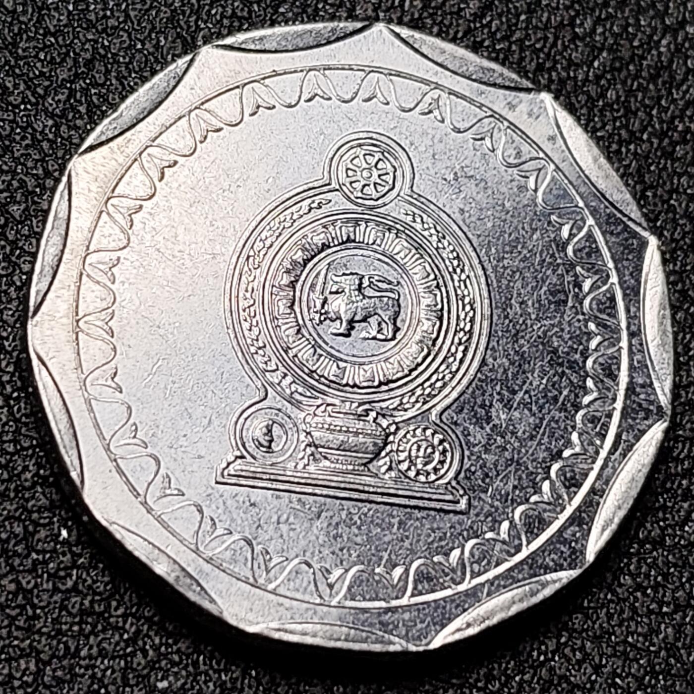 泉币菌-第140场-精品福利场（之前场次29日、30日发货，敬请谅解） 。