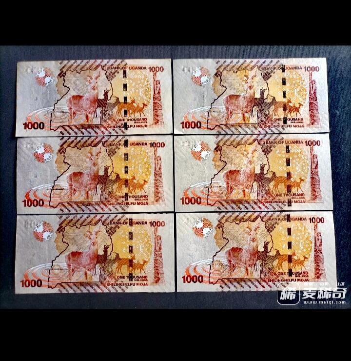 全新乌干达2010、13、15年1000先令靓品纸币6枚一组
