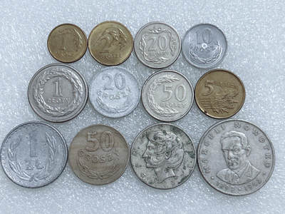 第一海外回流一元起拍收藏 散集专场  第272期 - 波兰不同面值硬币 12枚