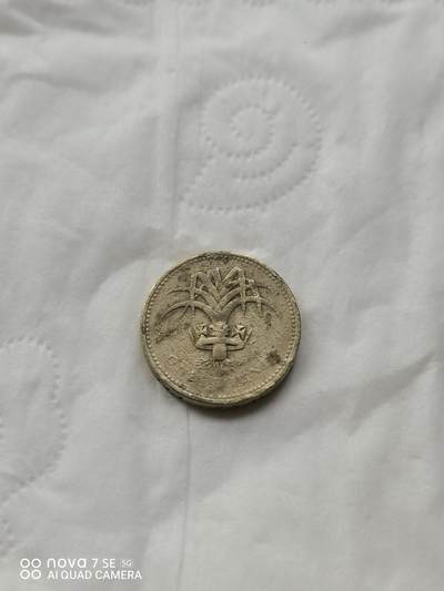 外国硬币 - 1985年1英镑