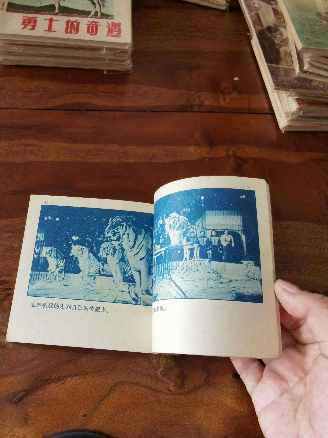 五六十年代老版经典老电影绘画连环画拍卖会 训虎女郎1956年48开