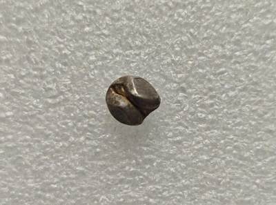 瓶子🏺第218期拍卖会  13世纪素可泰王朝海螺戳记屁股锭银锭  泰族人建立的第一个统一国家