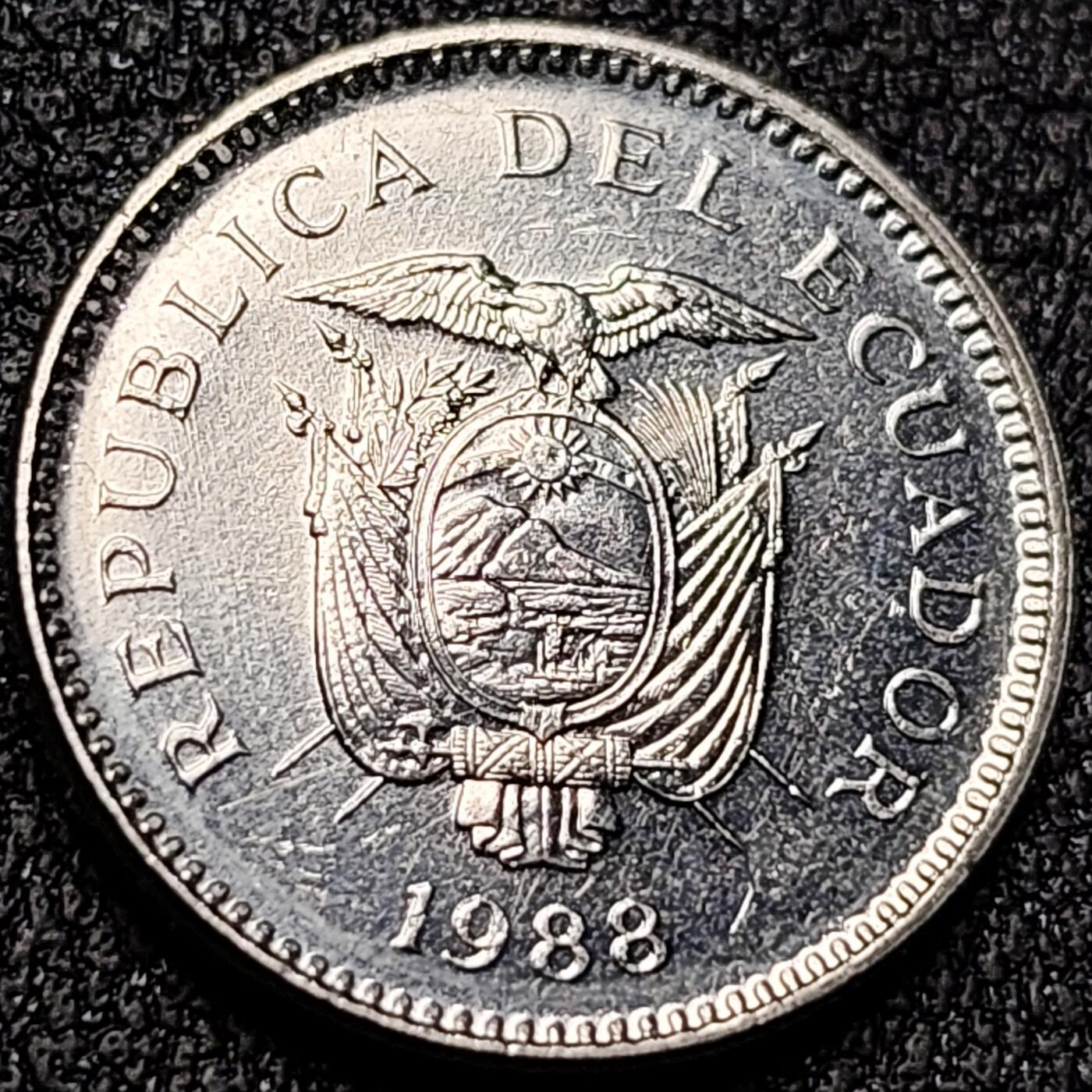 泉币菌-第140场-精品福利场（之前场次29日、30日发货，敬请谅解） 。