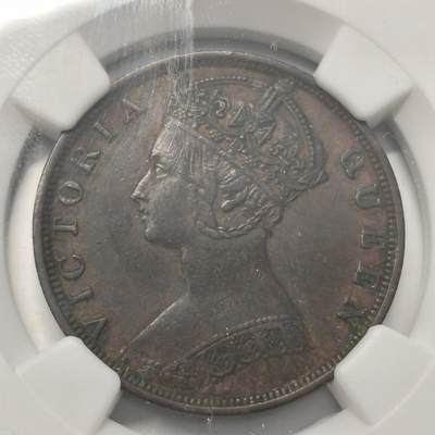 老蟹的宝藏🏴‍☠️ IV - NGC XF45BN 香港维多利亚1901H 1分