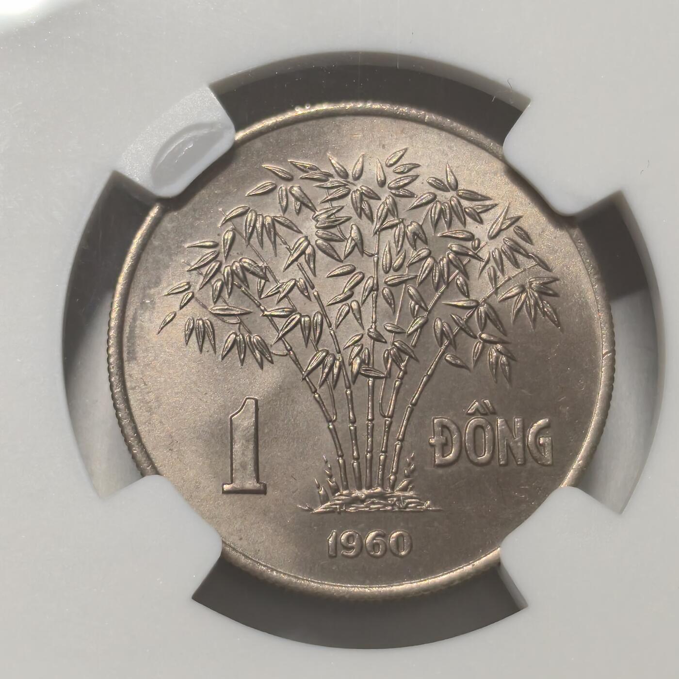 老蟹的宝藏🏴‍☠️ IV NGC MS64 越南南越1960年1dong