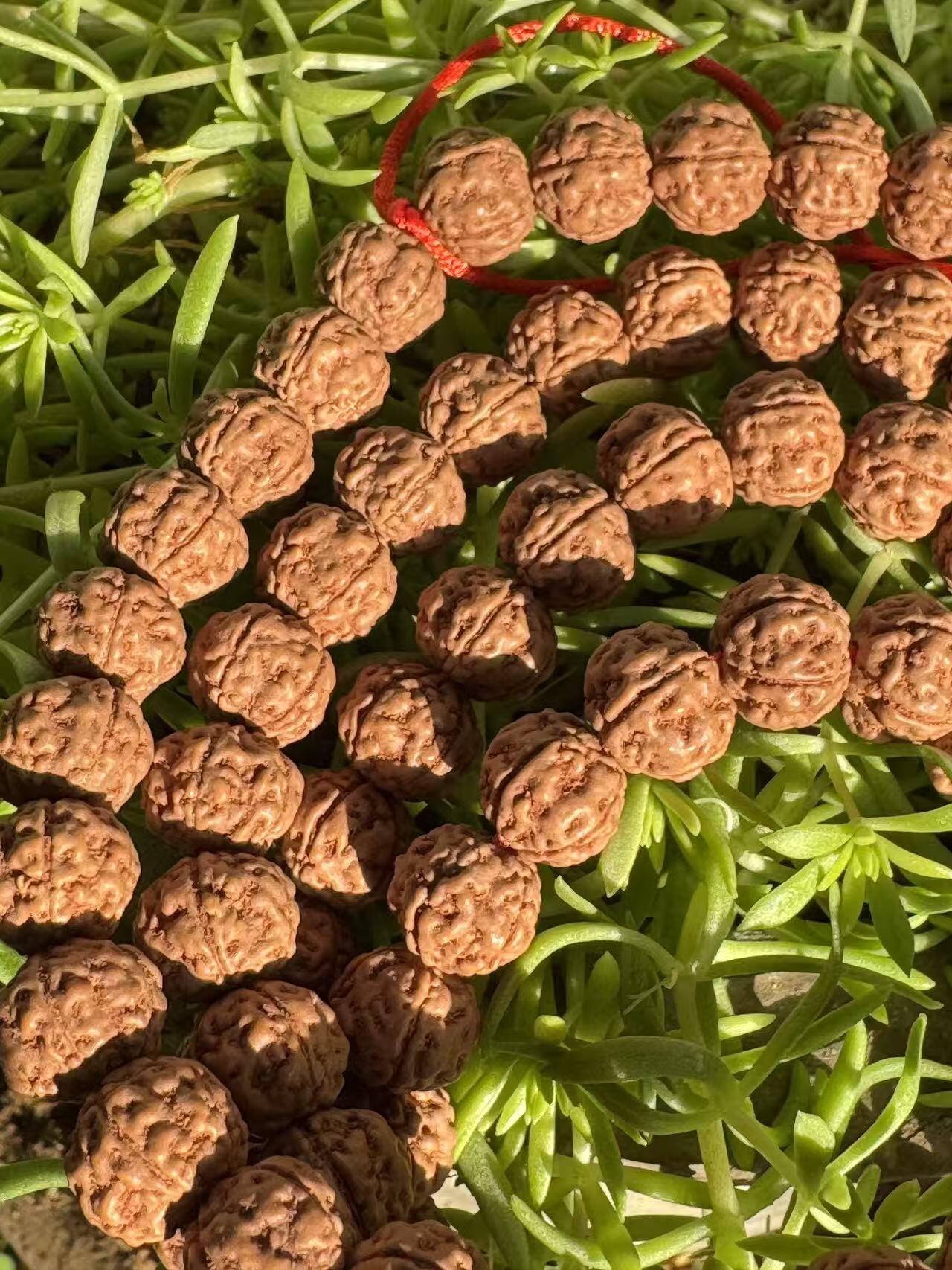 零元拍：超肉红皮屠龙梅花矮桩小金刚108/10MM 长串