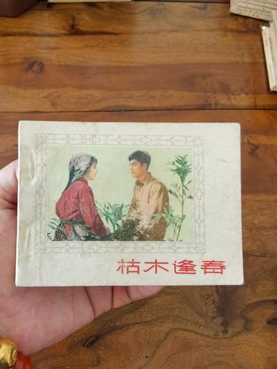 五六十年代老版经典老电影绘画连环画拍卖会 - 枯木逢春1962年64开