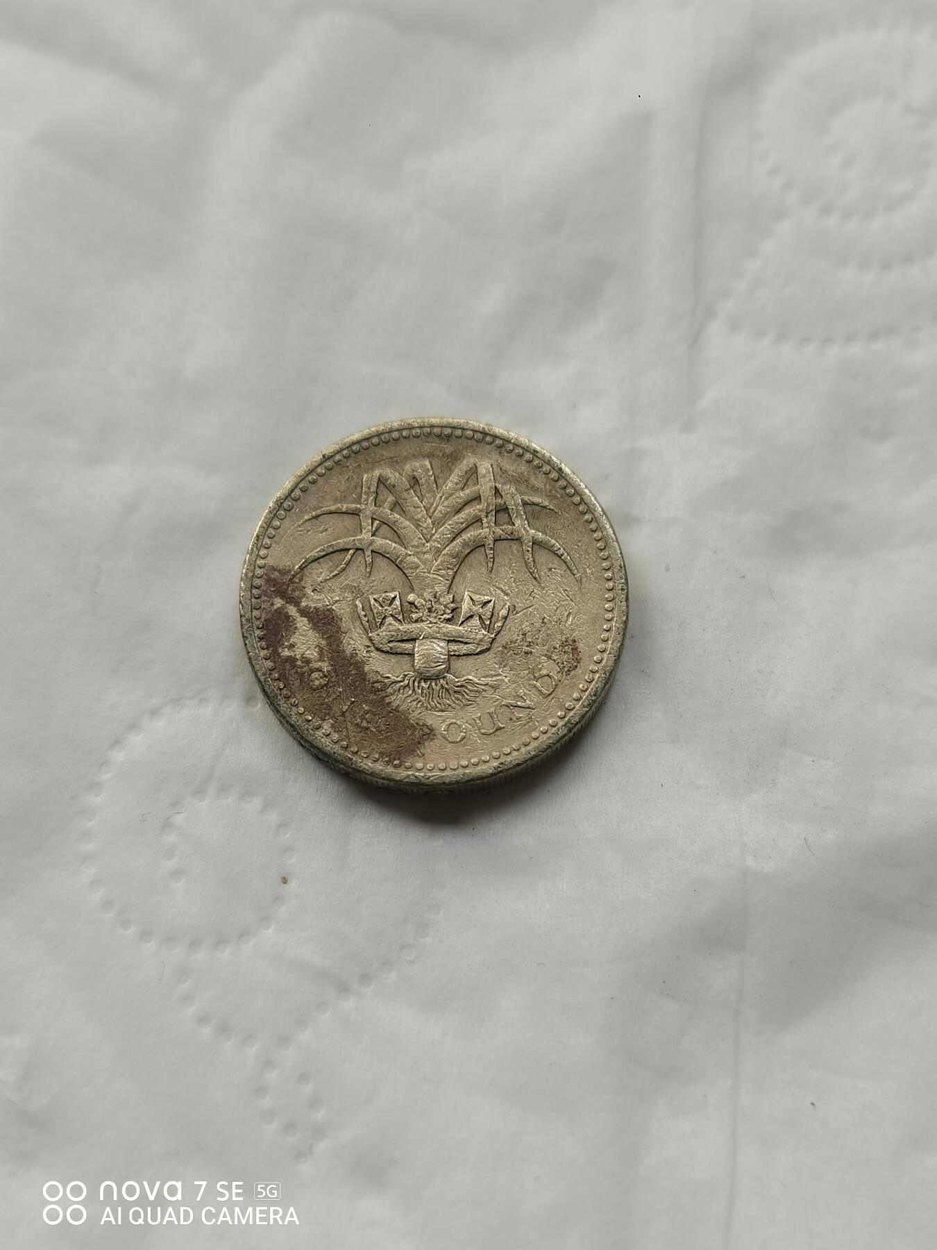 外国硬币 1英镑