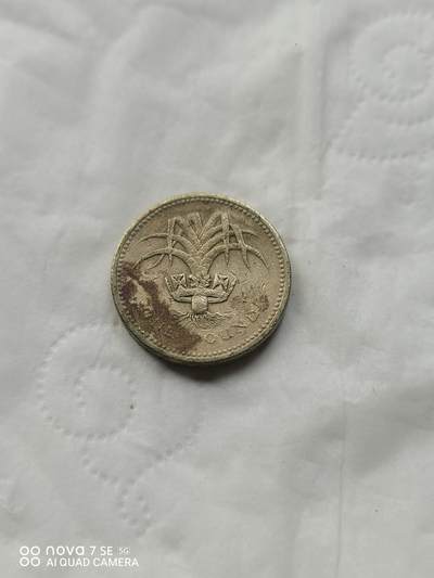 外国硬币 - 1英镑