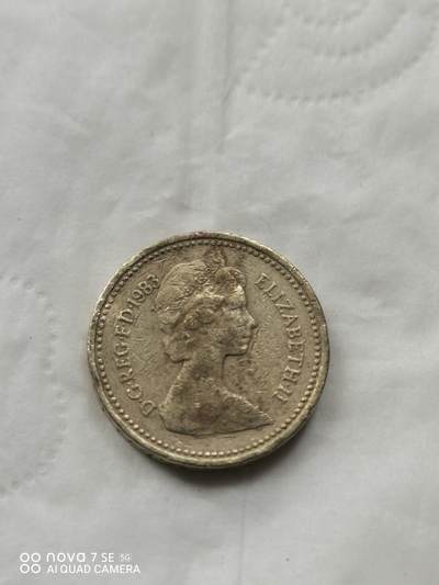 外国硬币 - 1英镑