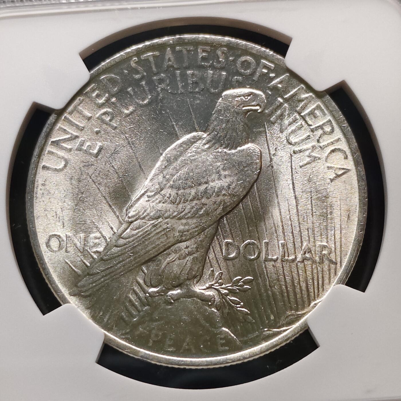 【全场包邮】纯粹捡漏拍481场（免费代拍第18场） 美国1923年和平1元（38.1毫米26.73克）银币-NGC MS62