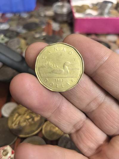 泡泡币外币第三十五场可代拍15038385335微信 - 加拿大硬币。