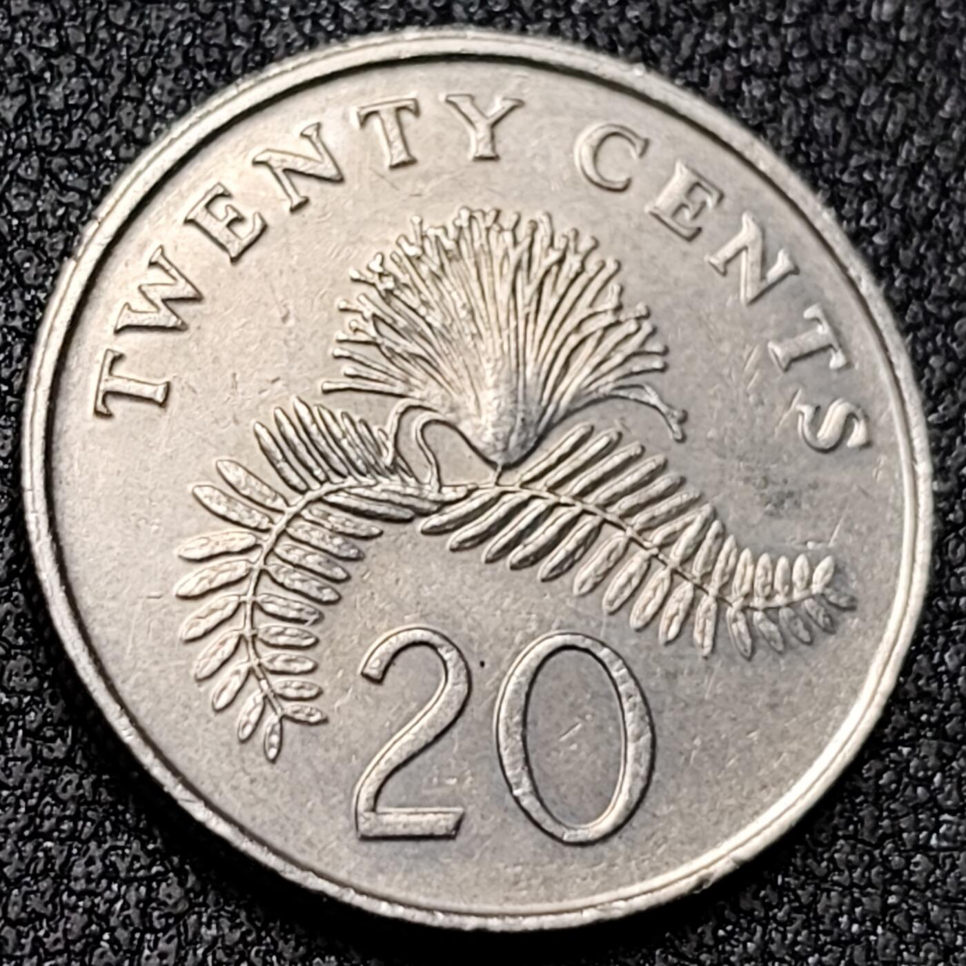 泉币菌-第139场-精品福利场（之前场次29日、30日发货，敬请谅解） 。