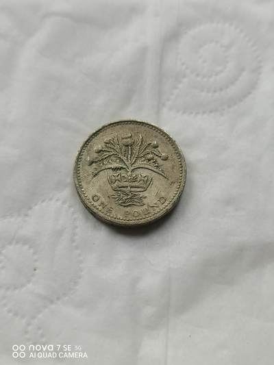 外国硬币 - 89年1英镑