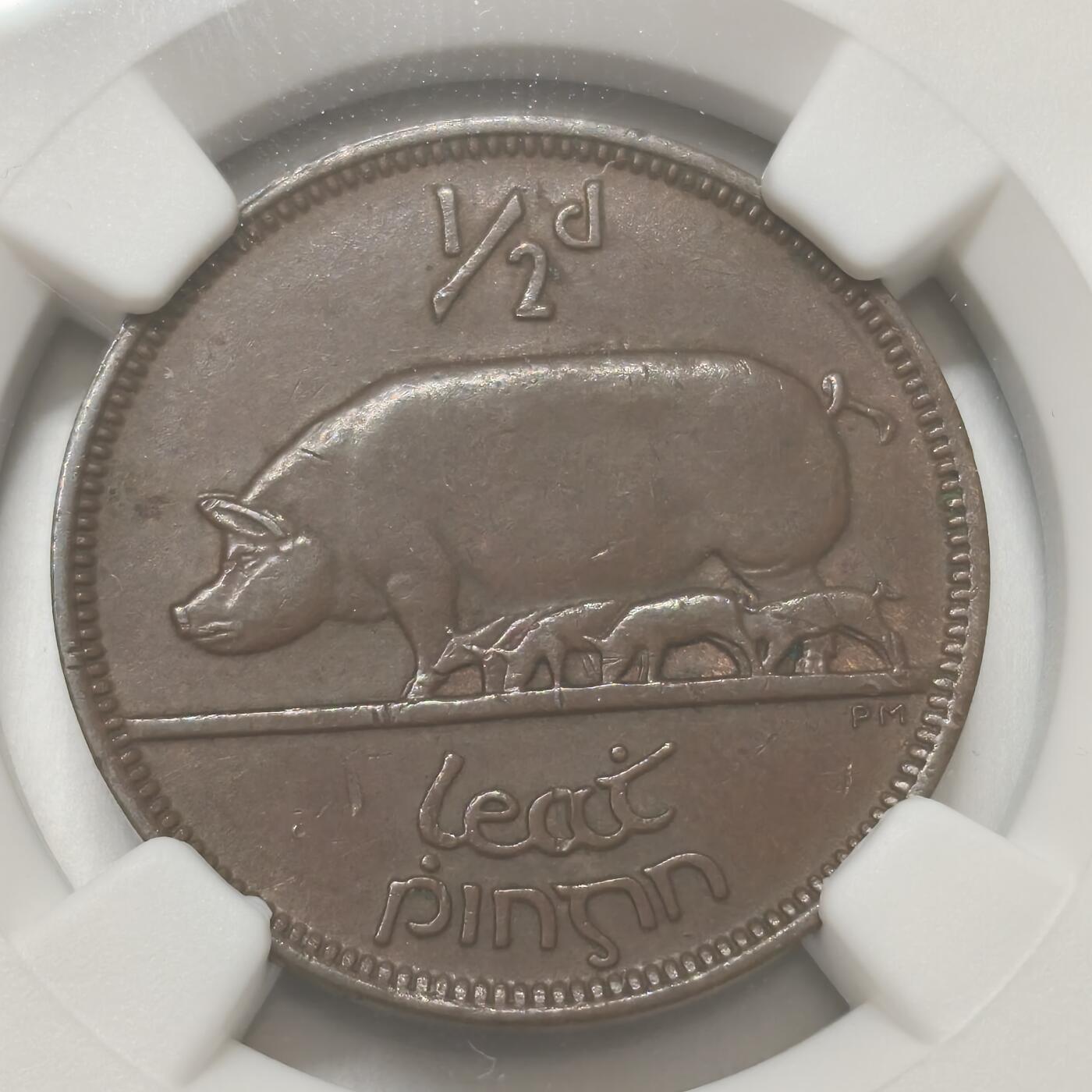 老蟹的宝藏🏴‍☠️ IV NGC AUD 爱尔兰1928年1/2便士