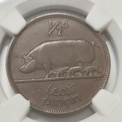 老蟹的宝藏🏴‍☠️ IV - NGC AUD 爱尔兰1928年1/2便士