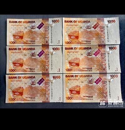 全新乌干达2010、13、15年1000先令靓品纸币6枚一组 - 全新乌干达2010、13、15年1000先令靓品纸币6枚一组