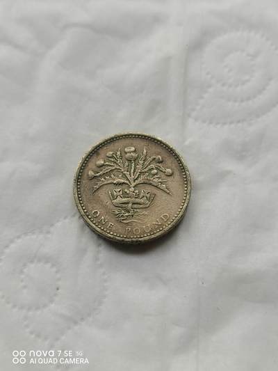 外国硬币 - 1989年1英镑