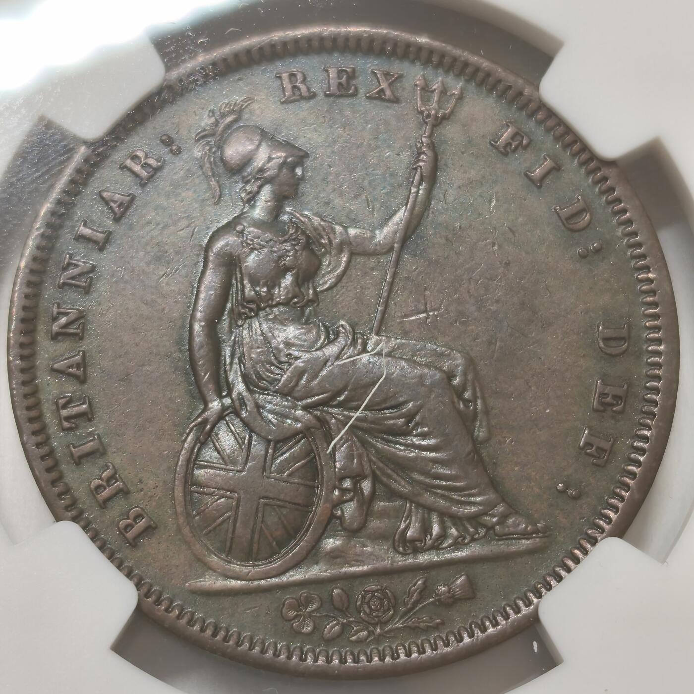 老蟹的宝藏🏴‍☠️ IV NGC AUD 1831年英国威廉四世1便士