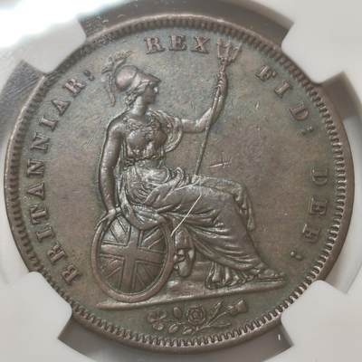 老蟹的宝藏🏴‍☠️ IV - NGC AUD 1831年英国威廉四世1便士