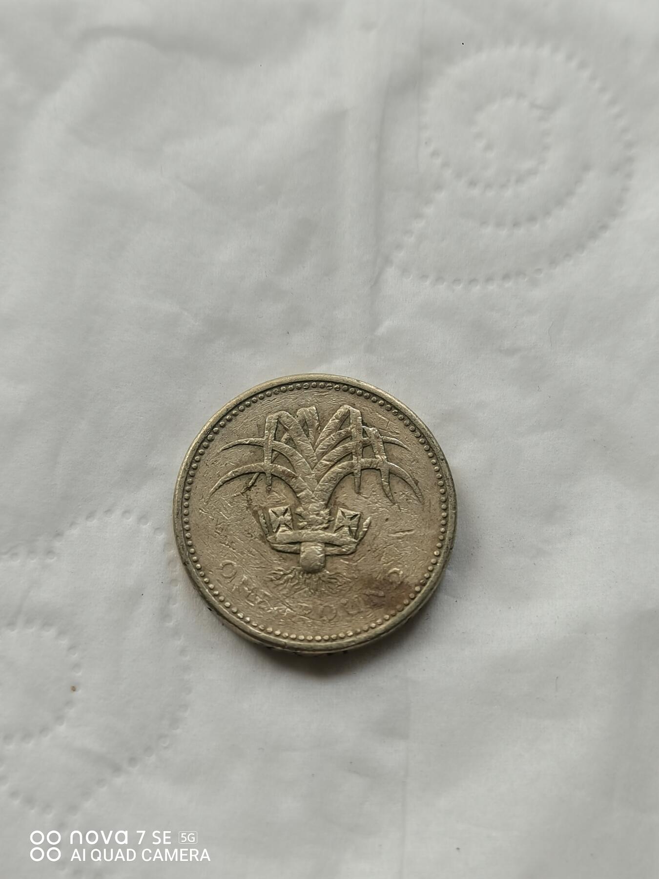 外国硬币 1英镑