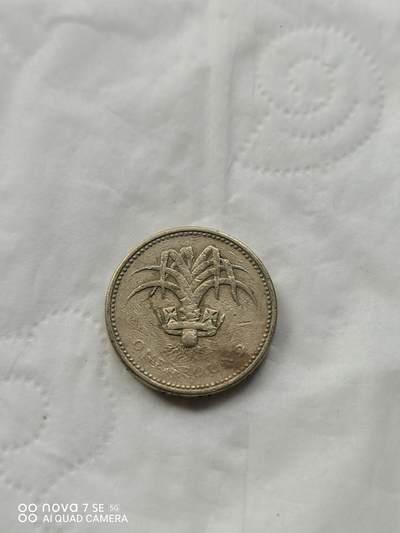 外国硬币 - 1英镑