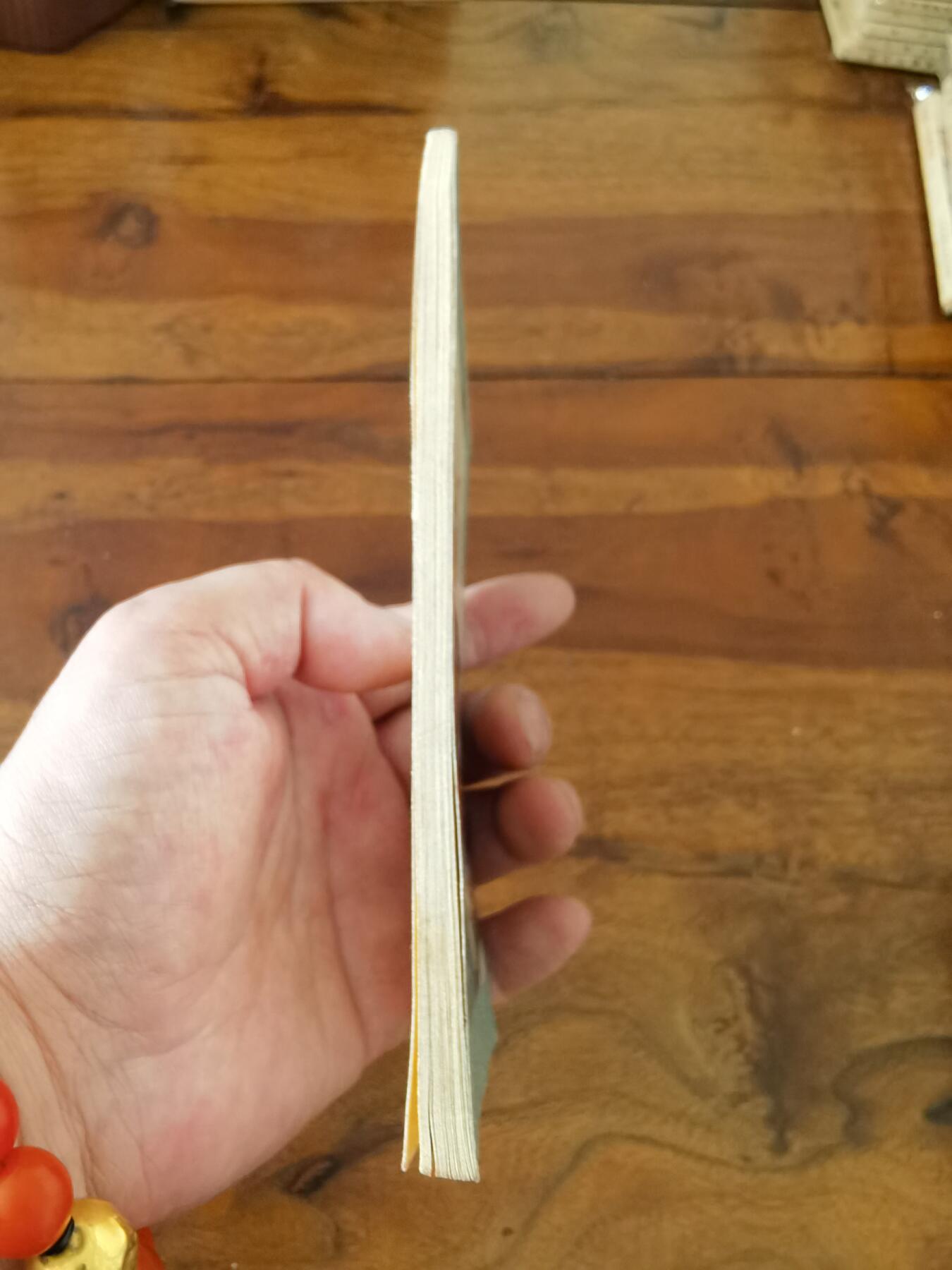 五六十年代老版经典老电影绘画连环画拍卖会 火焰驹1958年60开