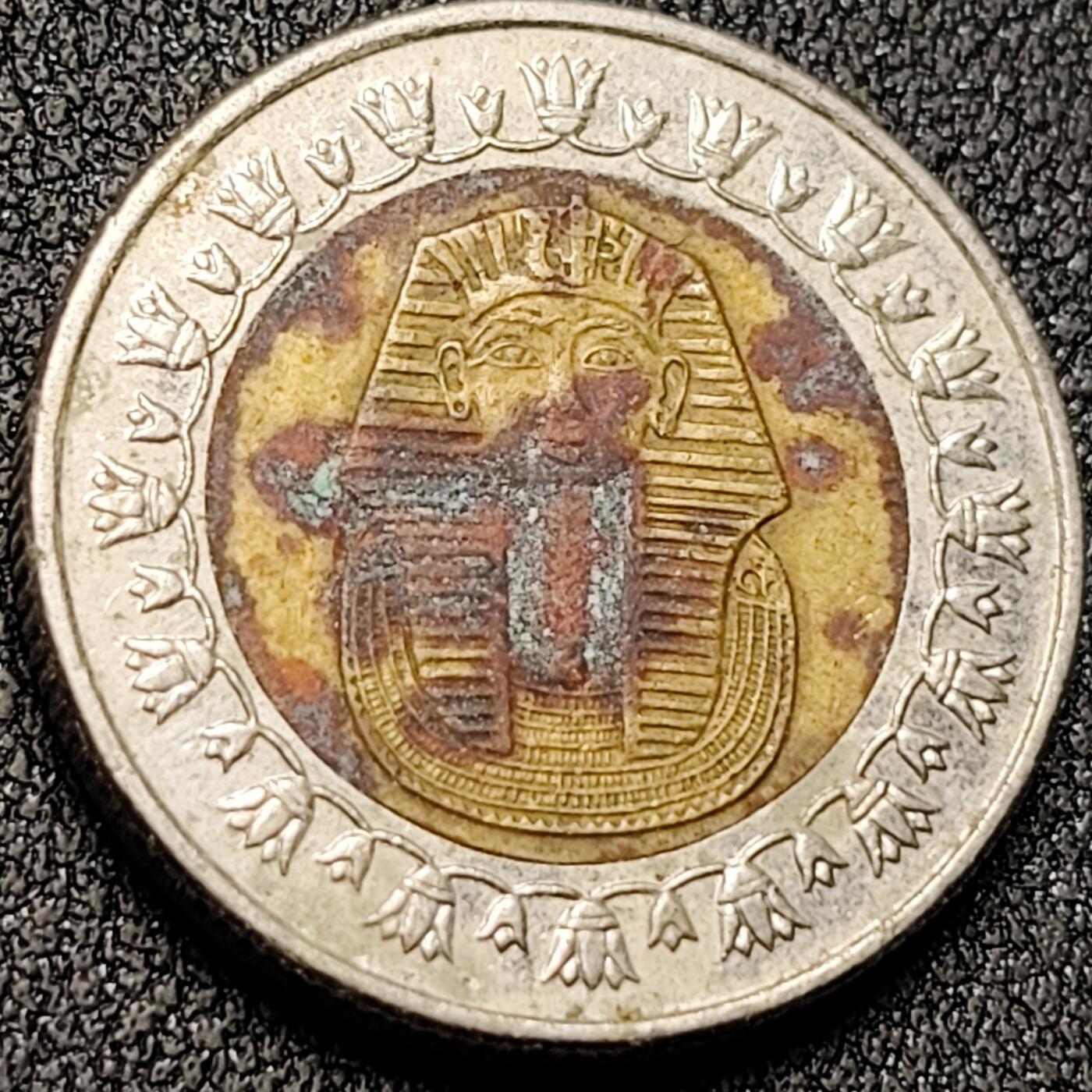 泉币菌-第139场-精品福利场（之前场次29日、30日发货，敬请谅解） 。