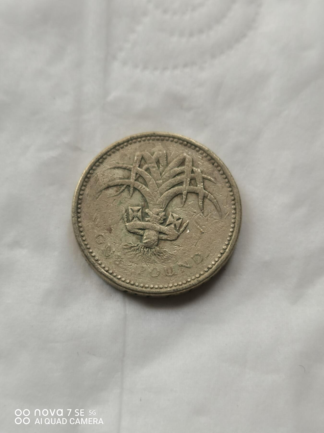 外国硬币 1英镑