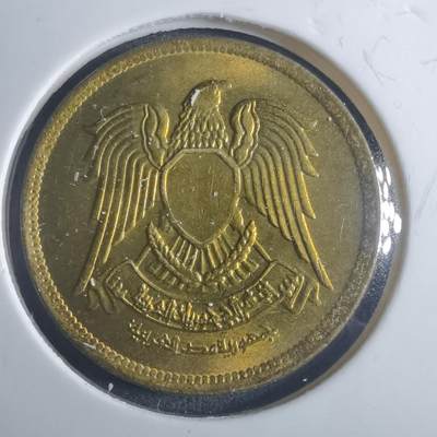 沼泽如烟--第914场 - 埃及