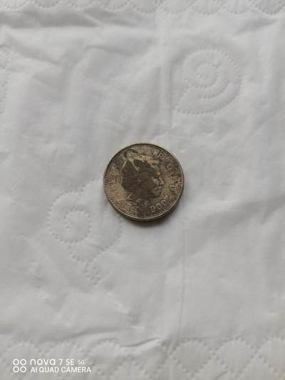 外国硬币 - 2006年1英镑