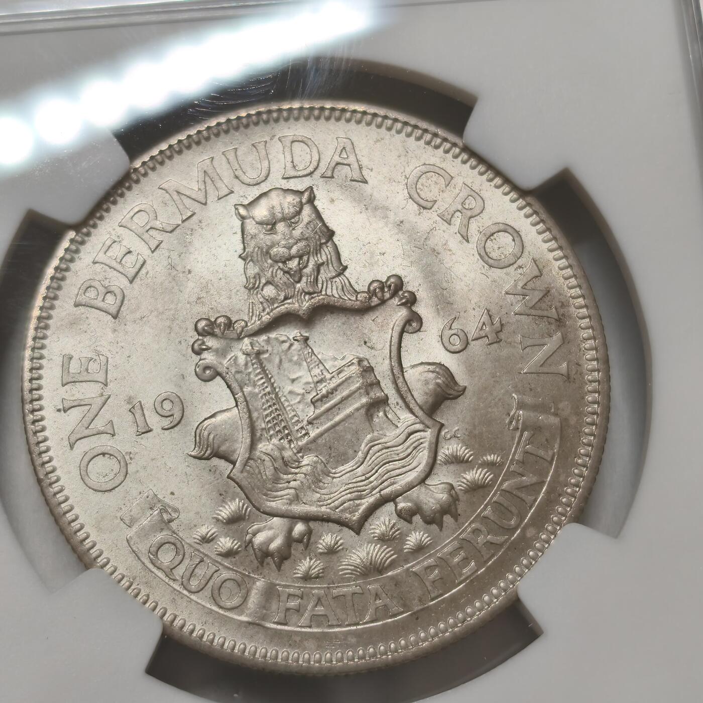 老蟹的宝藏🏴‍☠️ IV NGC MS64百慕大1964年1克朗银币