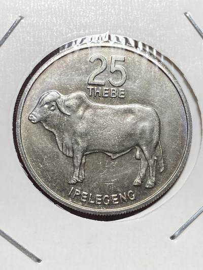 2025年第一百三十二场(总第一百五十八场）外国好品纸夹散币场(免佣金) - 博茨瓦纳🇧🇼1984年25西比(第一套第一版，铜镍材质无磁版)
