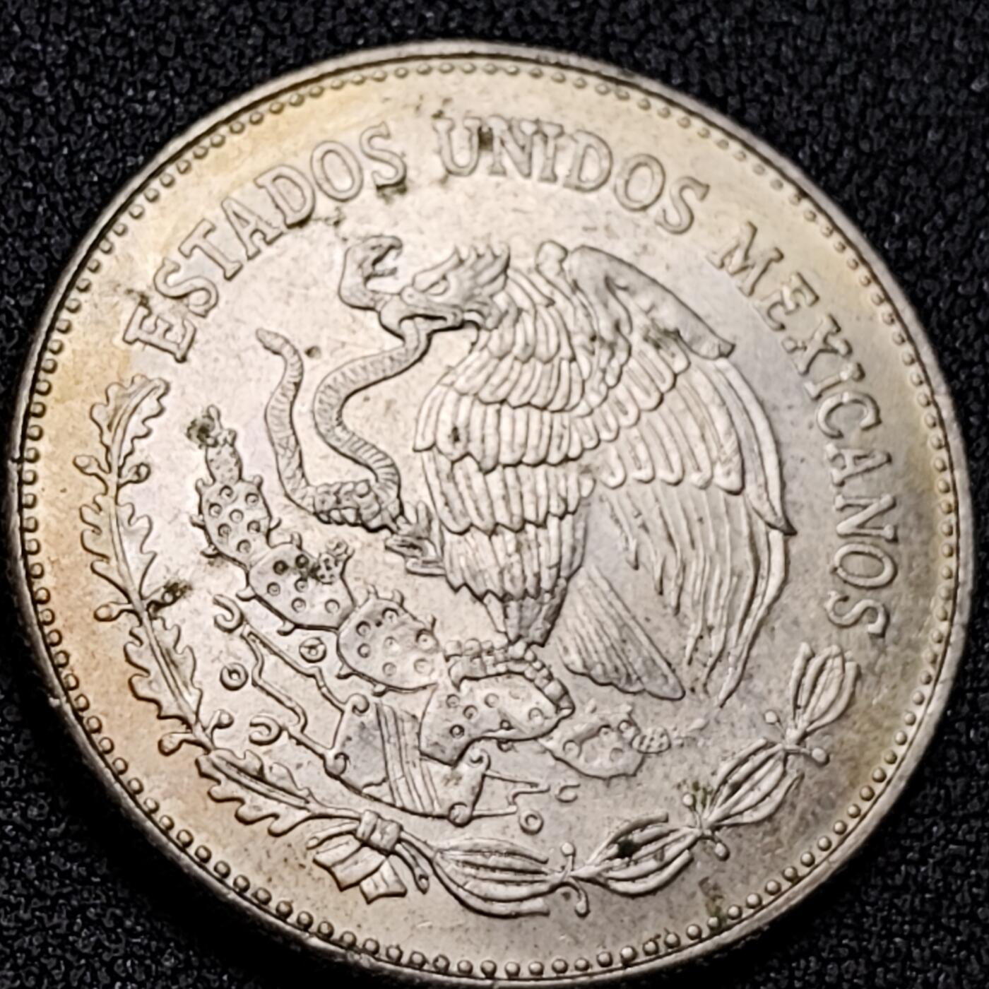 泉币菌-第139场-精品福利场（之前场次29日、30日发货，敬请谅解） 。