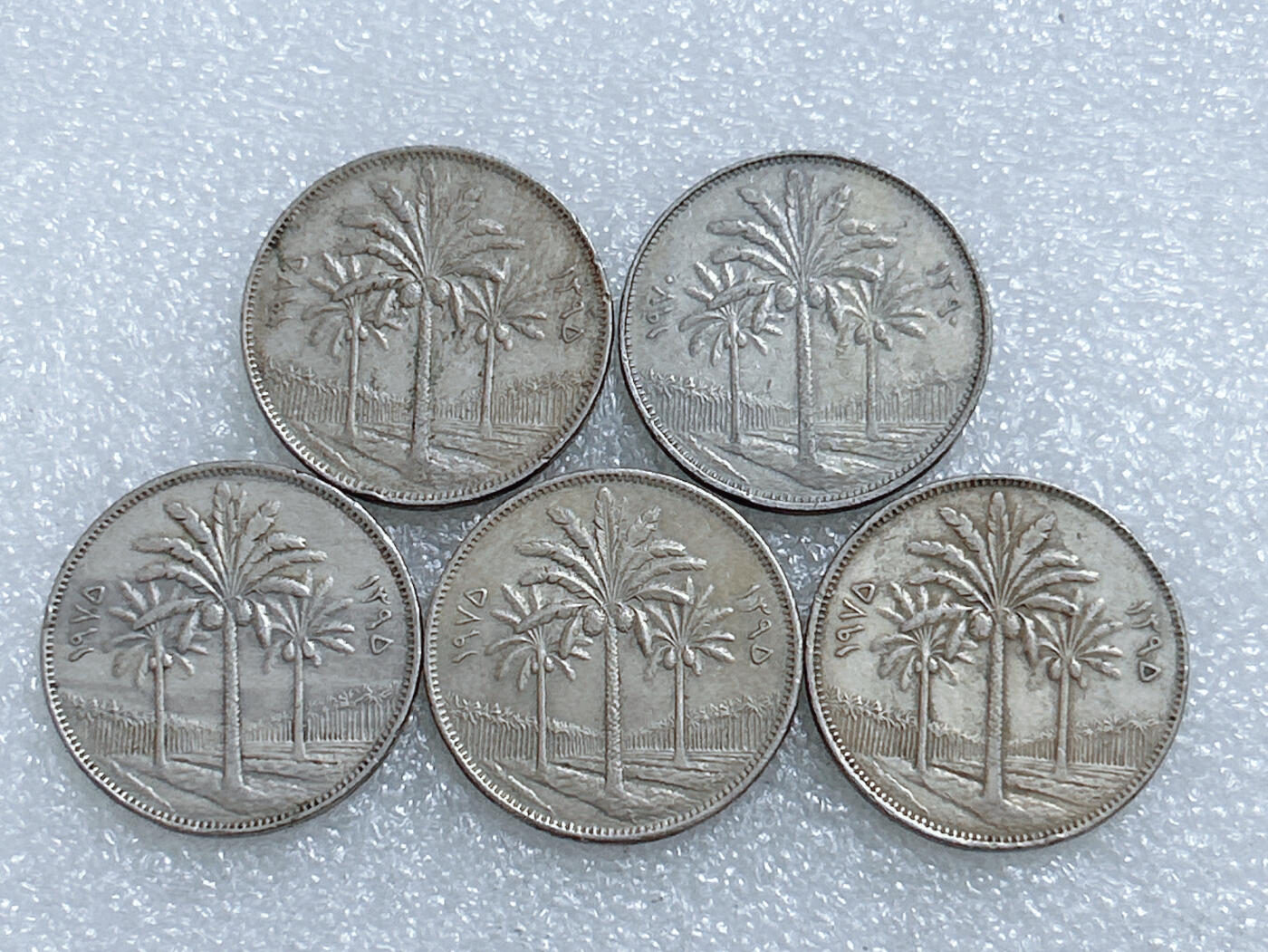 第一海外回流一元起拍收藏 散集专场  第272期 伊拉克100费尔硬币 5枚