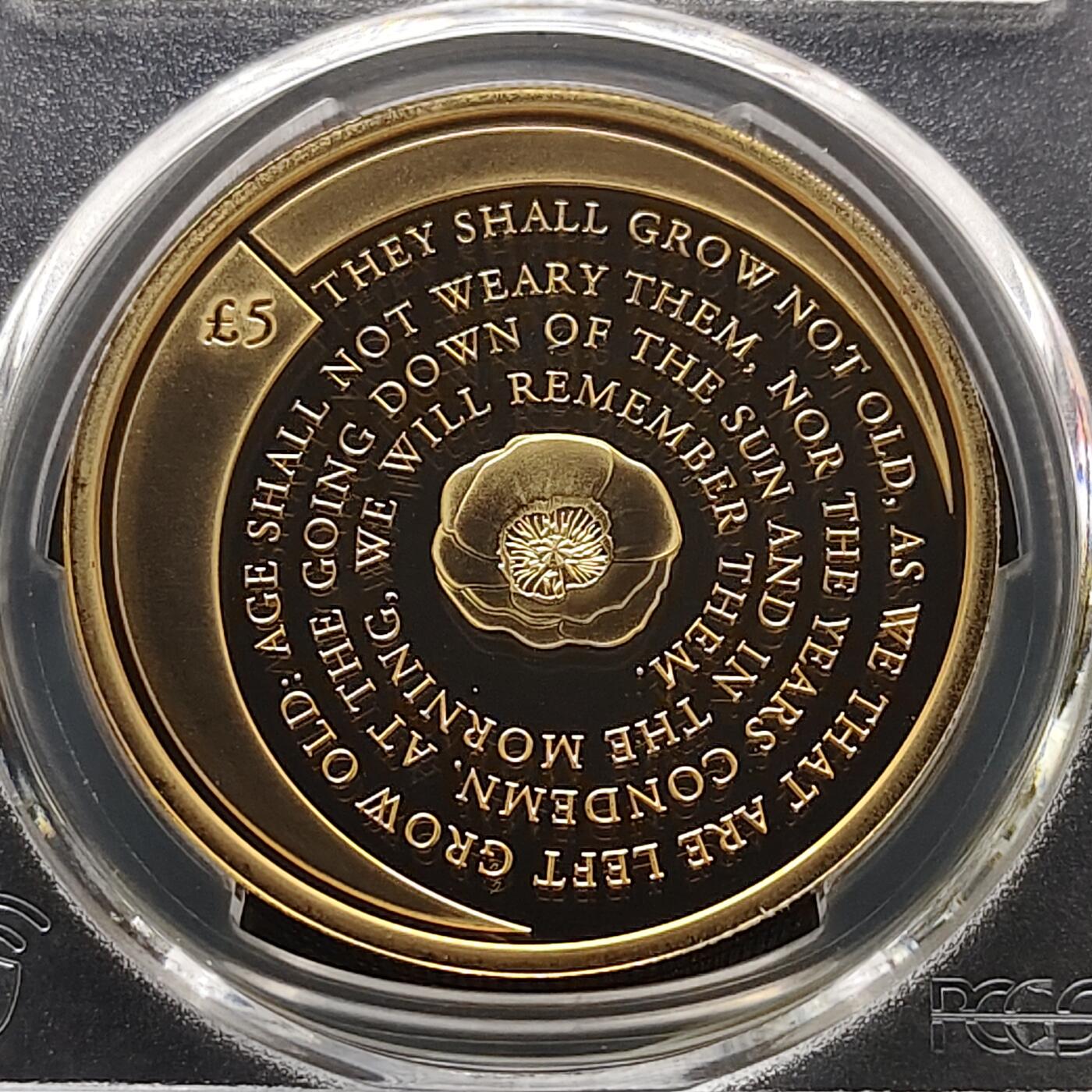 【全场包邮】纯粹捡漏拍481场（免费代拍第18场） 奥尔德尼2020年5镑二战胜利75周年镀金精制纪念币-PCGS PR69 DCAM
