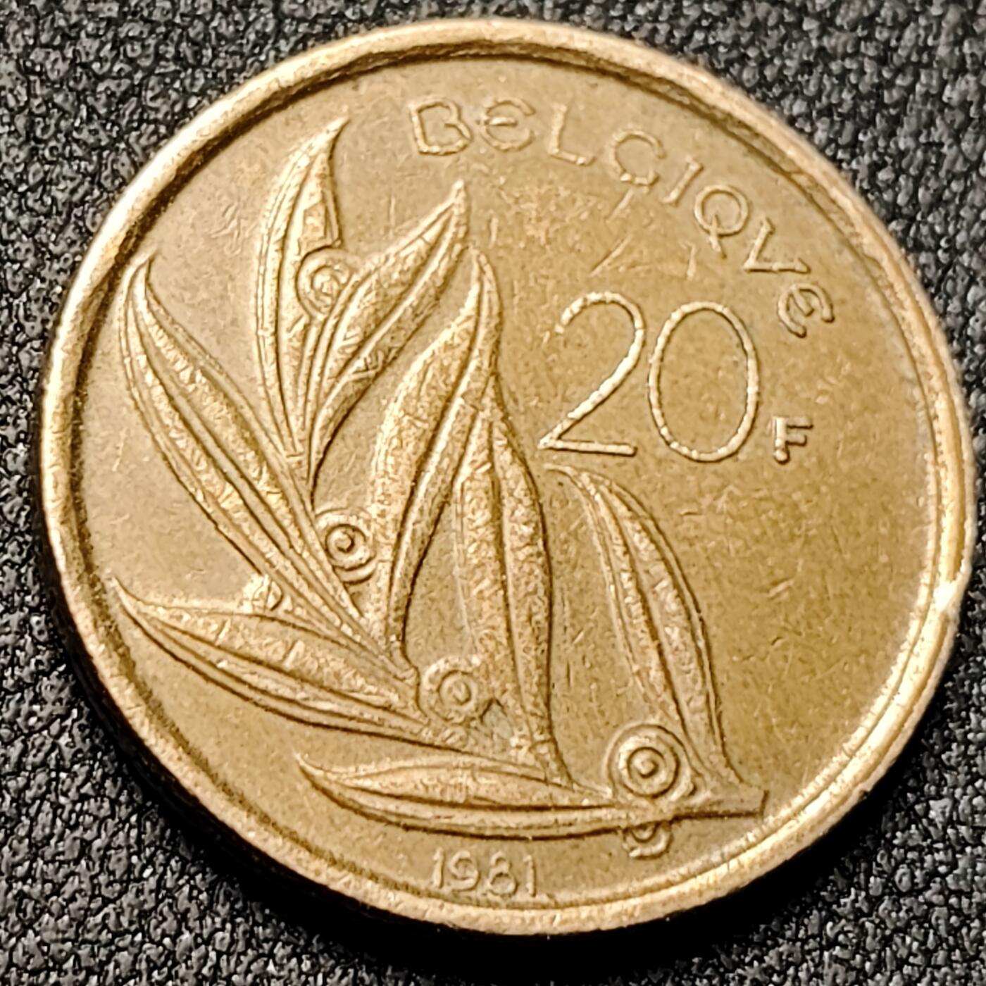 泉币菌-第140场-精品福利场（之前场次29日、30日发货，敬请谅解） 。