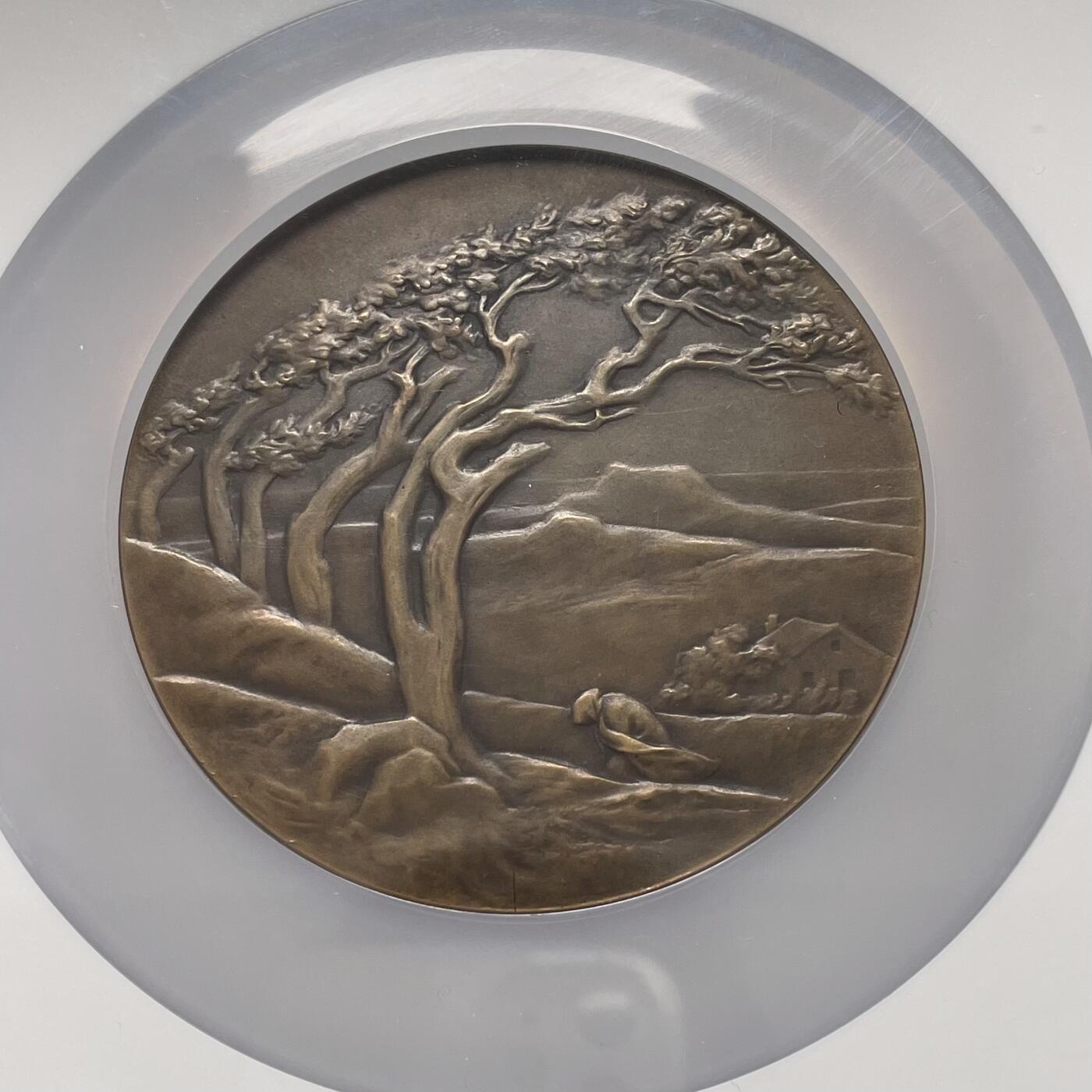 「木头集藏」章牌精品专场！ Camille Lefevre～法国SAMF协会38号作品 “风” 铜章 ， MS63 ，法兰西章牌之友协会（SAMF）1906年发行，直径：68mm，铜章发行量仅119枚，边铭：丰饶角 BRONZE 火蝾螈 限量编号78。图案完美刻画了人体和树木对抗狂风的场景。  SAMF协会章是法国新艺术章牌最杰出的代表，历来受到章牌收藏者的追捧。