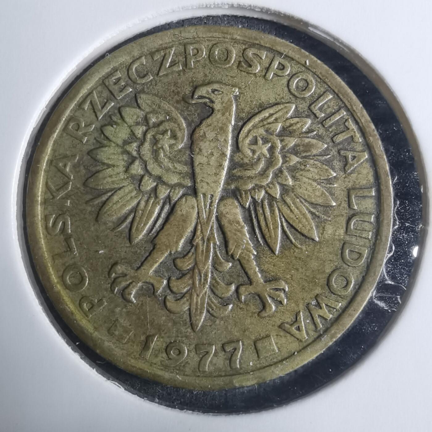 沼泽如烟--第915场 芬兰1977年2兹罗提