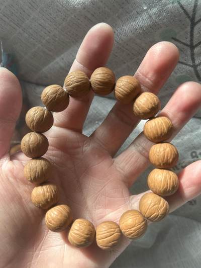 猴头凤羽 - 猴头凤羽