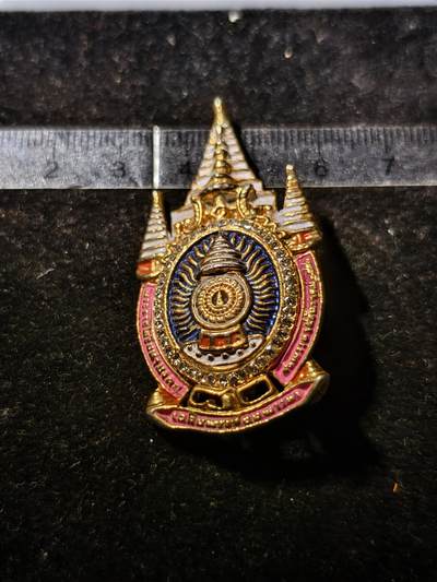 88期回流戒指饰品杂件纪念章丝路钱币专场 - 纪念章