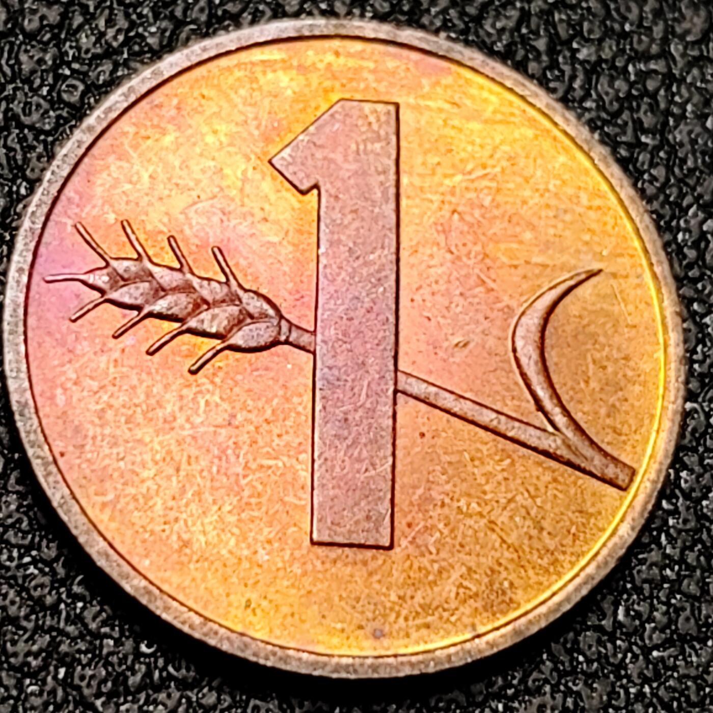 泉币菌-第140场-精品福利场（之前场次29日、30日发货，敬请谅解） 。