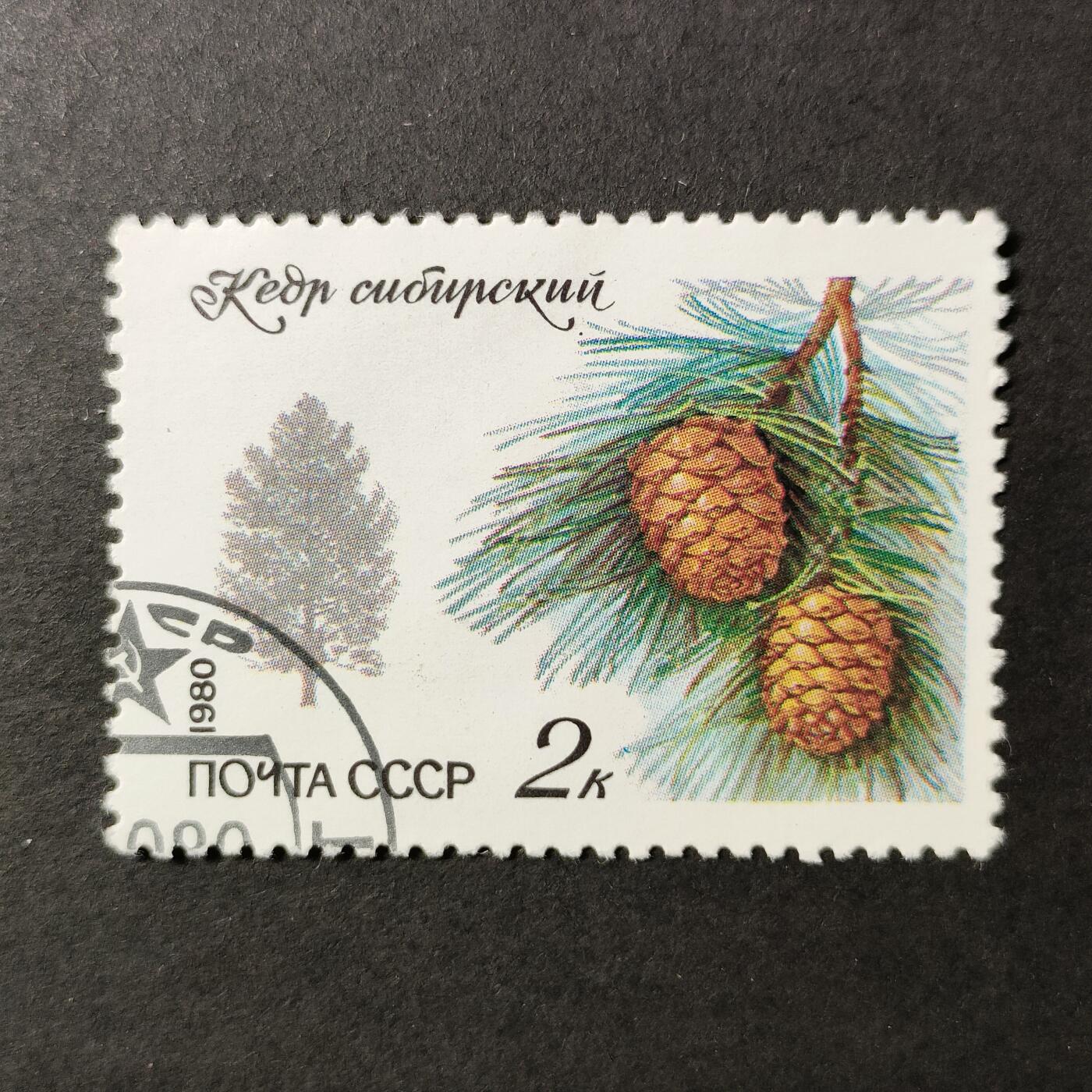 嘉禾收藏    【第389期】            无佣金、可寄存、满30元包邮 苏联邮票